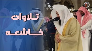 عشائية جميلة ما تيسر من سورة المائدة للشيخ أنس العمادي | عشاء 22-5-1447 هـ