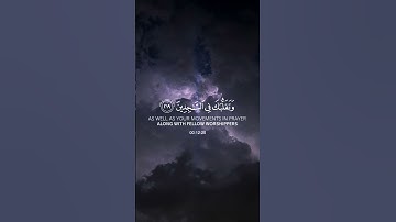 (وتوكل على العزيز الرحيم) القارئ: وديع اليمني