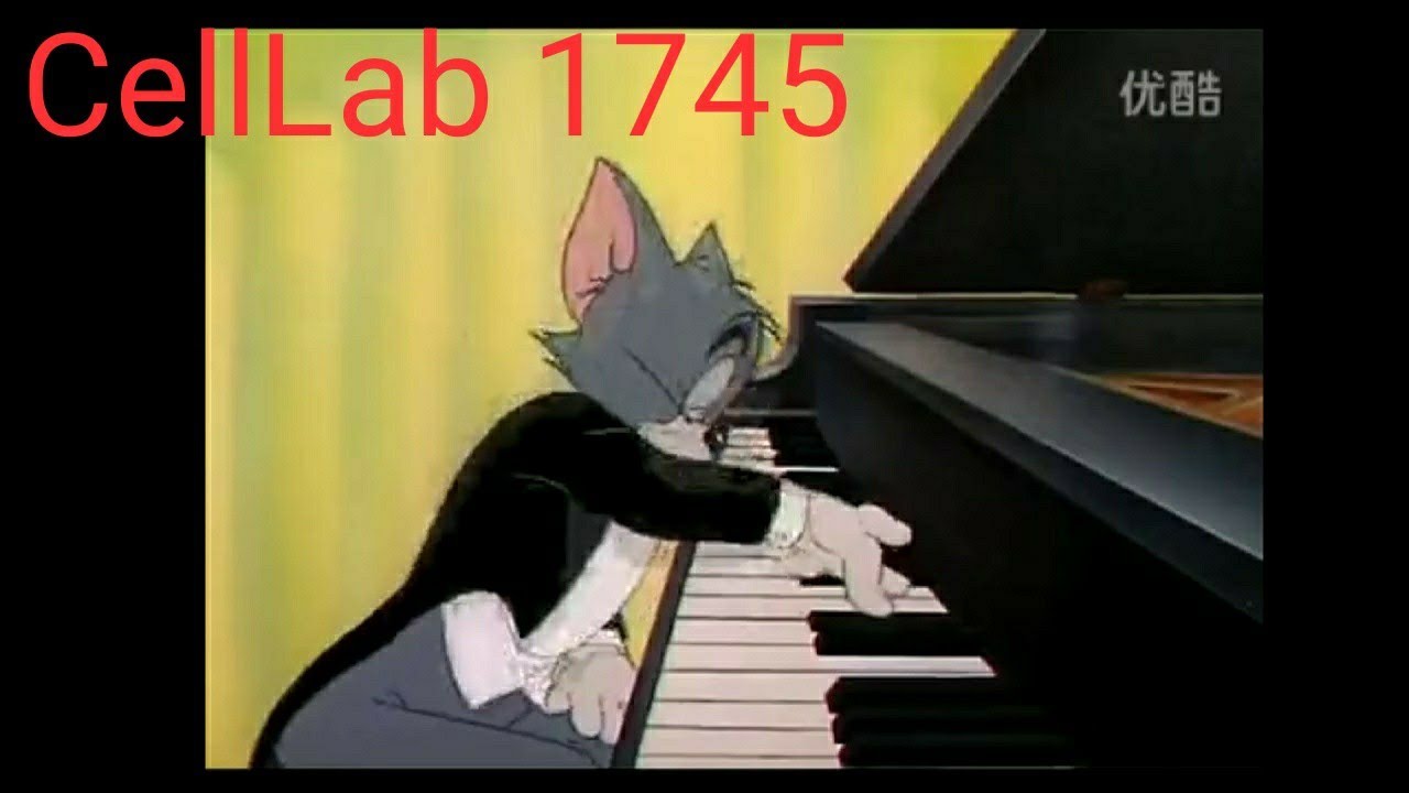 Tom and Jerry Remix 2 YouTube