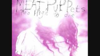 Meat Puppets Evil love