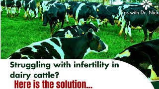 Struggling with Infertility in Dairy cows? Here is the secret.#agriculture #farming #dairyfarming