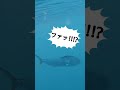 沖で泳いでいると…