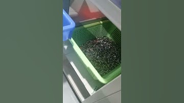 Manufacturer of USB Connectors for USB Cable Manufacturing