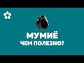 Мумие - полезные свойства. Уникальный дар природы