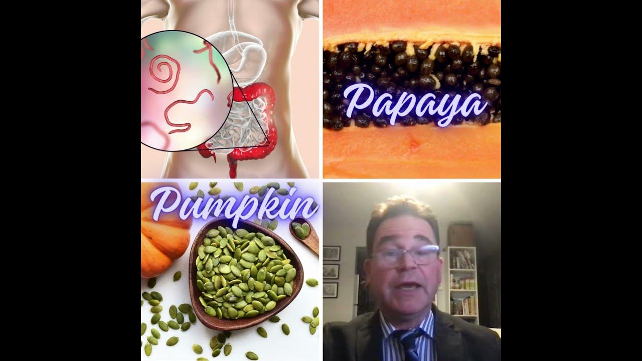 pumpkin-seeds-good-for-deworming-animals-youtube
