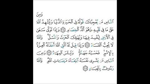 القارئ ماجد الزامل - سورة البقرة - من الآية 204 إلى الآية 207