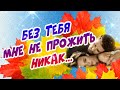 Это чудо, что с тобой мы встретились!  Осенняя романтика