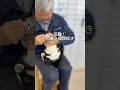 会社猫ふくの日常😸顔拭かれたから頭ぶつけた💢と思ってるはず🤭#株式会社日章#会社猫#トラック運送