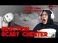 Makhluk paling serem di scary chester  nyeremserem reaction