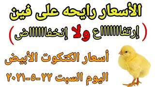 أسعار الكتكوت الأبيض اليوم السبت ٢٢-٥-٢٠٢١ في جميع الشركات فى مصر