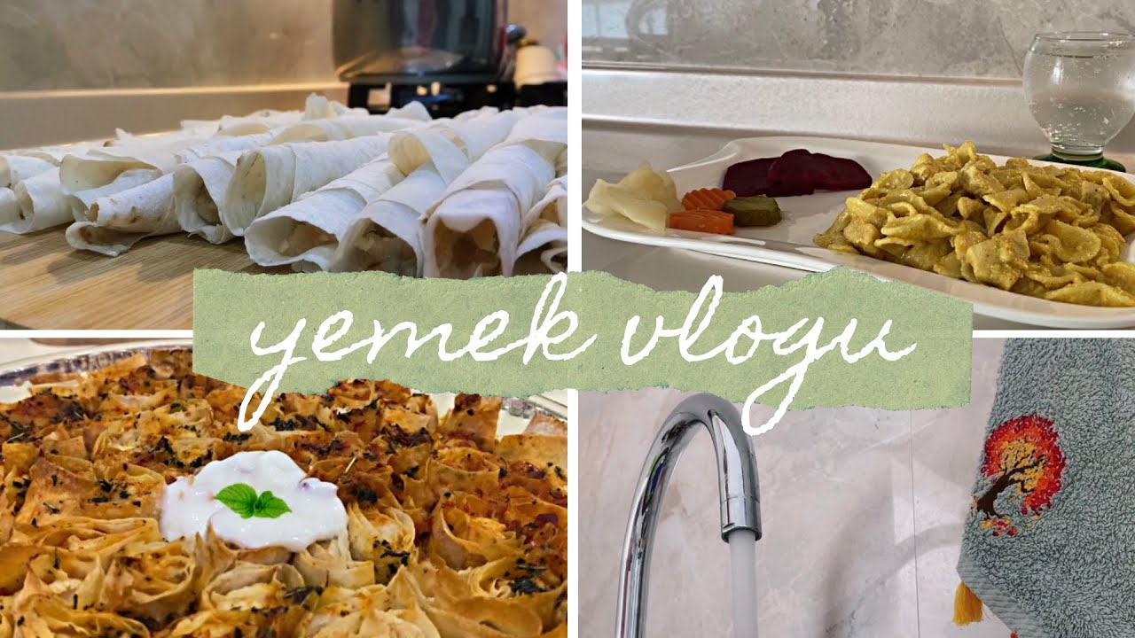 sessiz yemek vlogu | tavuk ile yapılabilecek 2 pratik yemek