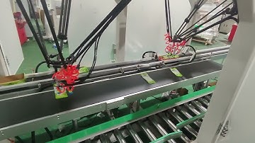 robot claws type wet wipes bag case packing machine