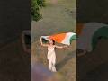 Happy Republic day🇮🇳 #ashortaday #shortvideo #republicday #india #republicdayindia #subscribers