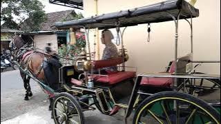 Andong pariwisata Jogja. Malioboro Yogyakarta . Wisata delman. Keraton Yogyakarta