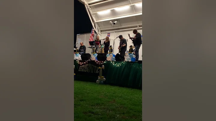 BITA Penguin Plunge fundraiser- Fleetwood Mac- fea...