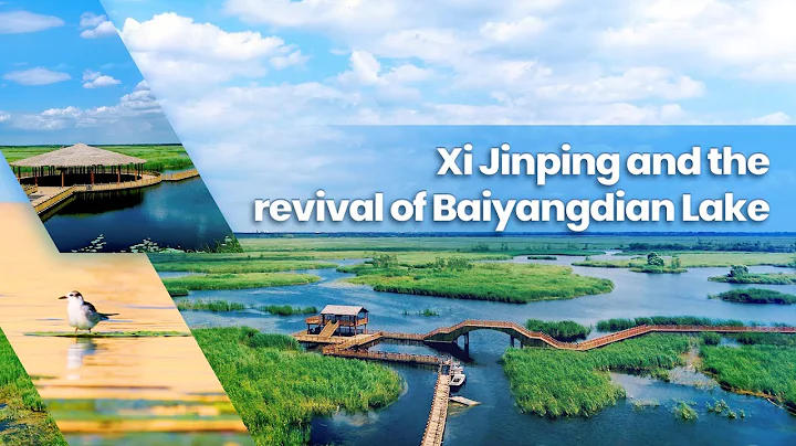 Xi Jinping and the revival of Baiyangdian Lake - DayDayNews