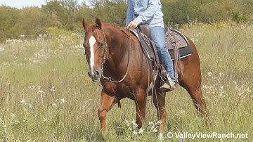 On A Tuff Drive - trail riding #1! - ValleyViewRanch.net