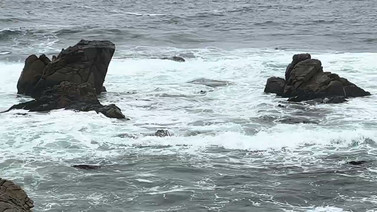 Pebble Beach. Pacific Ocean 
