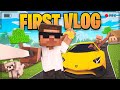 I become popular vlogger in minecraft