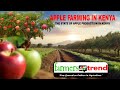 The Boom of Apple Farming in Kenya