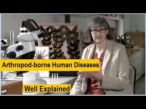 arthropod borne human diseases | diseases caused by insects | epidemiology | medical entomology  8.3