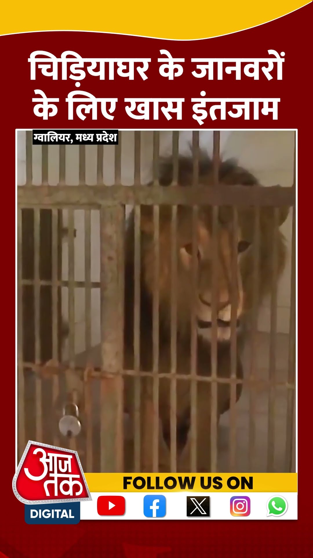 MP News: ठंड से बचाने के लिए जानवरों के लिए विशेष इंतजाम | #shorts #shortvideo #viralshorts