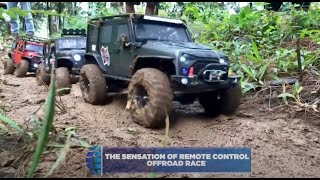 The Remote Control Offroad Race