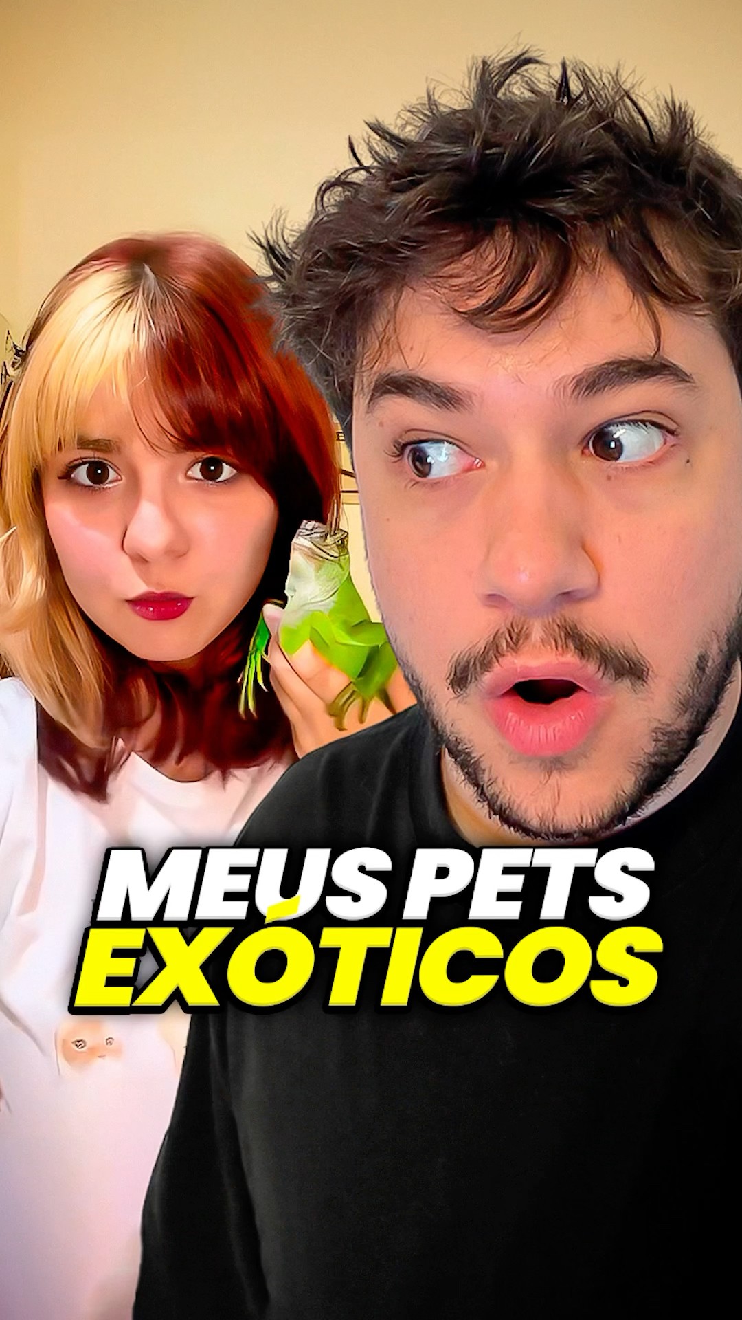 meus pets... #livedobrino #humor #MundinhoBrino