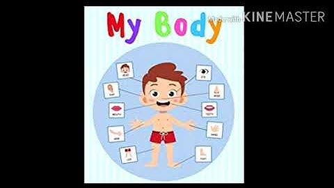 MLZS JHANSI CLASS 1 EVS Chapter 2 My Body Lecture 3