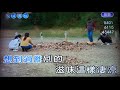 愛の淚/我怎麼哭了