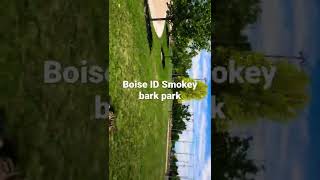 Boise ID Smokey bark park