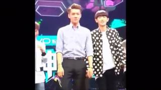 EXO Vine #3
