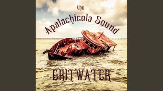 Video thumbnail of "The Apalachicola Sound - Cost"