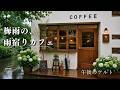 【ケルト音楽】雨の音、コーヒーの香り☕️ ほっと落ち着く梅雨のひととき|Rainy Cafe BGM|Relax · Cafe Time