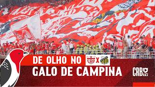 🗞️ DE OLHO NO GALO DE CAMPINA - CRB X NOVORIZONTINO