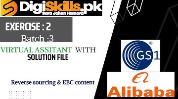 Digiskills Virtual Assistant Exercise 2 Batch 3 | virtual assistant exercise 2 batch 3 solution file