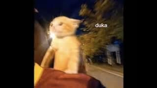 last child - duka sped up