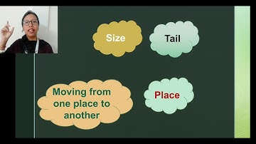 L 8 Summarisation || Class 1 (D & E) || EVS || 11.11.2020@SFS NARENGI