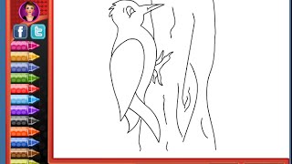 Birds Coloring Pages For Kids - Birds Coloring Pages