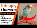 Birds 3 Injury Treatments and Natural Medicines | First Aid for Birds | in Malayalam | MY PET PLANT
