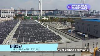 How to be a zero-waste city Here is the Shanghai solution