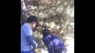 Sefkat Tepe Balcik 7Belim Resimi