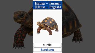 Hausa — Ingilishi Hausa – English 29 ／ 1