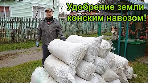 УДОБРЕНИЕ ЗЕМЛИ КОНСКИМ НАВОЗОМ!