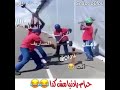 حرام يا دنيا مش كده ههههههههههههههههه