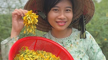 Hái bông điên điển, bắt cá mùa nước nổi miền tây 