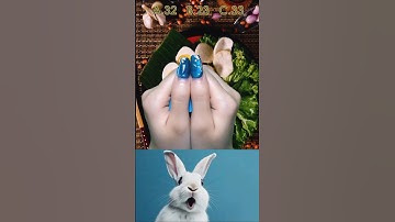 🎲 Guess the Number Challenge#shorts #rabbit #bombastic #video