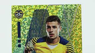Gold holographic dots craftmenship video