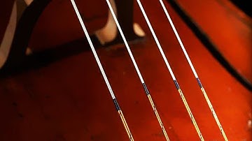 Best Cello Strings in 2025 (Tested and Reviewed)