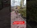 Тато повернувся з війни #ukraine #зсу